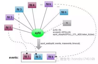 分布式系统本质论 高吞吐、高可用与可扩展的计算机服务体系解析